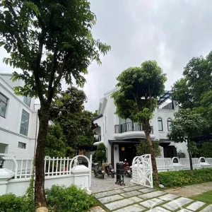 Cung cap va lap dat vat tu cong trinh biet thu xanh vilas 15 e1743127710769