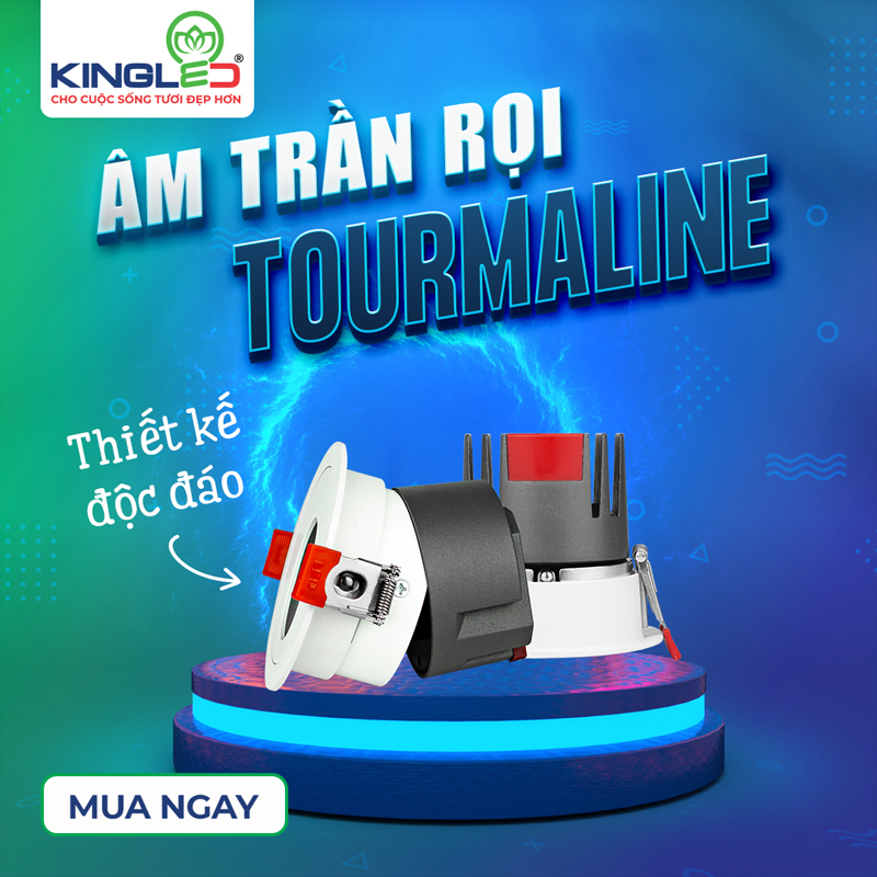 Den LED am tran roi KingLED Tourmaline DLRO 1 1