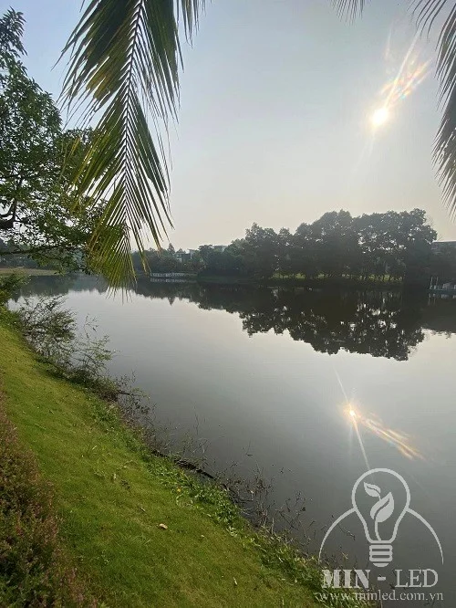 Den san vuon cong trinh Dai Lai anh 5