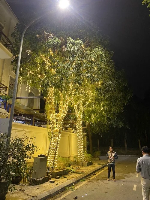 Den trang tri san vuon cong trinh thien duong bao son 1