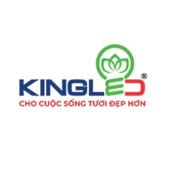 Đèn đường phố KingLED