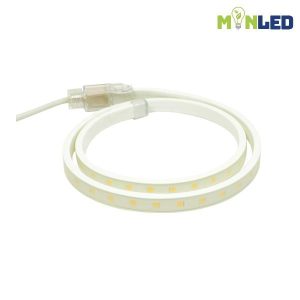 Đèn LED dây KingLED 1 hàng 8W/m LD-8-5050