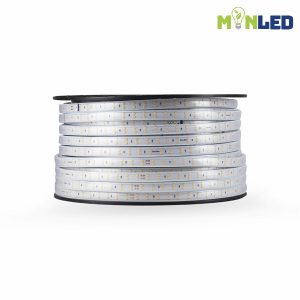 Đèn LED dây Rạng Đông 2 hàng 9W/m LD03 1000/9W