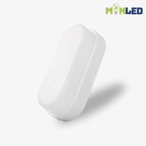 Đèn LED ốp trần bầu dục Rạng Đông LN12