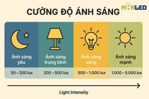Cuong do anh sang