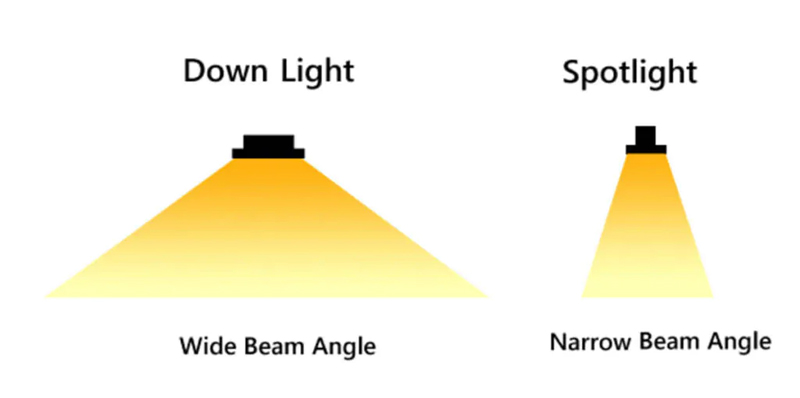 Đèn LED Downlight sử dụng góc chiếu rộng hơn so với đèn LED Spotlight