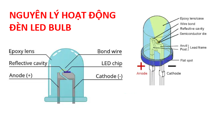 Nguyên lý hoạt động của đèn LED Bulb và các loại đèn LED khác