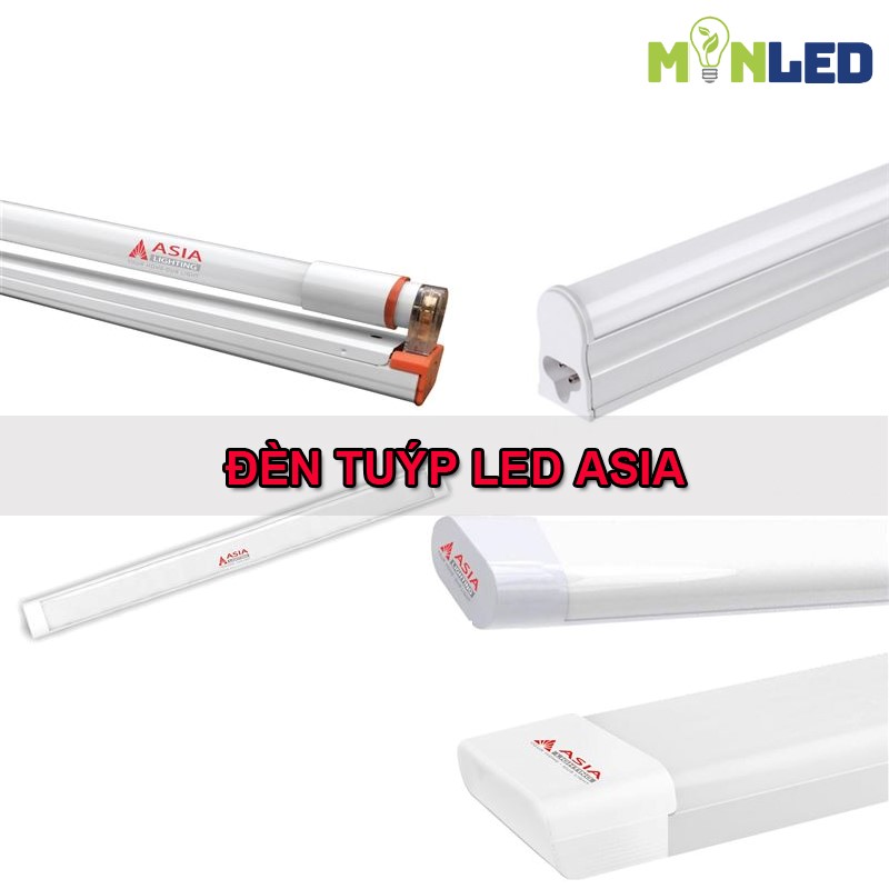 Đèn tuýp LED Asia Lighting - Giá rẻ cho mọi nhà
