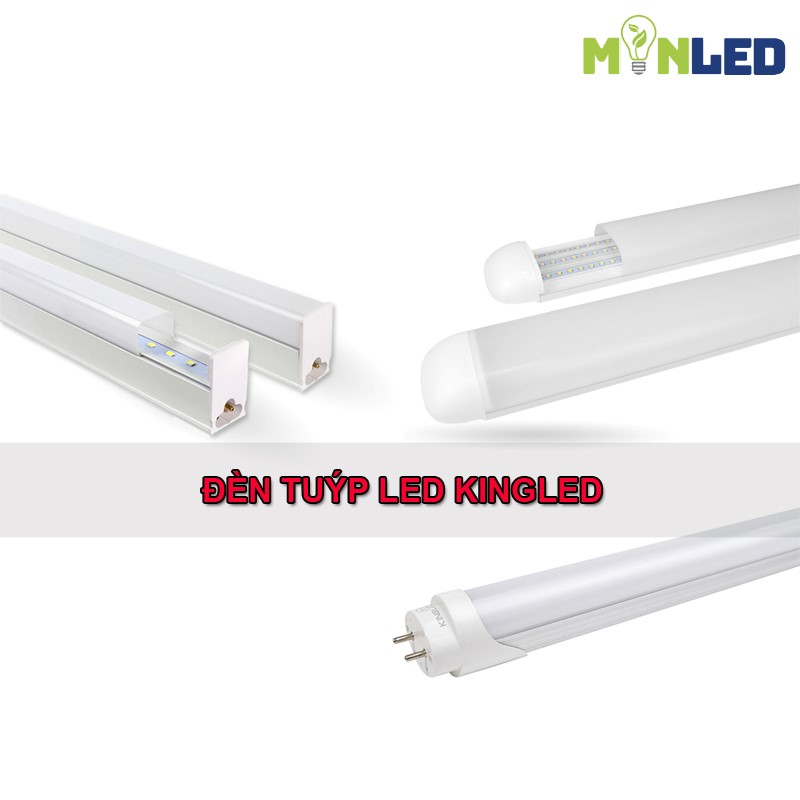 Đèn tuýp LED KingLED - Ánh sáng cao cấp cho không gian yêu cầu chất lượng