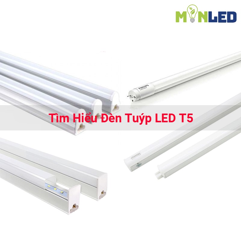Đèn tuýp LED T5 - Giải pháp chiếu sáng tinh tế và hiện đại