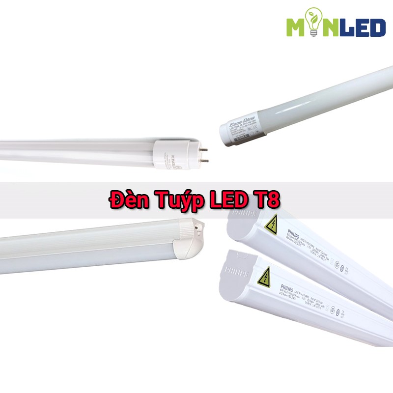 Đèn tuýp LED T8 - Lựa chọn chiếu sáng mạnh mẽ và tiết kiệm chi phí nhất hiện nay