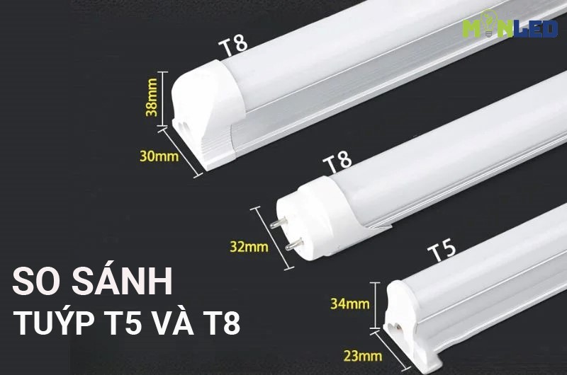So sánh đèn tuýp T5 và tuýp T8