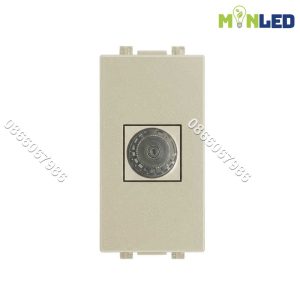 Ổ cắm tivi cỡ S UTEN V9.1