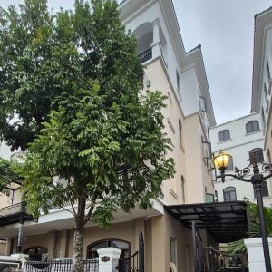 Cap den cong trinh biet thu Vinhome Oceanpark2 1 1