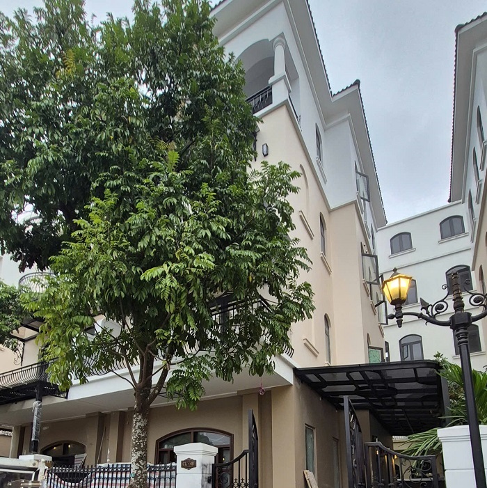 Cap den cong trinh biet thu Vinhome Oceanpark2 1 1
