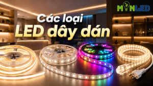 Đèn LED dây dán là gì? Phân loại và hướng dẫn lựa chọn phù hợp nhất